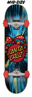 Santa cruz complete skateboard - Destination Store