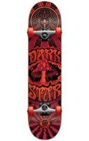 Darkstar complete skateboard - Destination Store